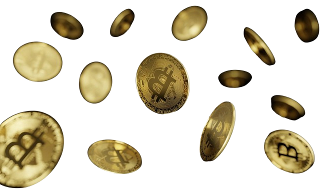 TAMING THE BEAR MARKET TAMING THE BEAR MARKET